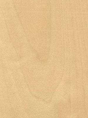 Listwa przypodłogowa fornirowana nielakierowana CP80 R3 (240 cm x 8 cm x 1,8 cm) brzoza